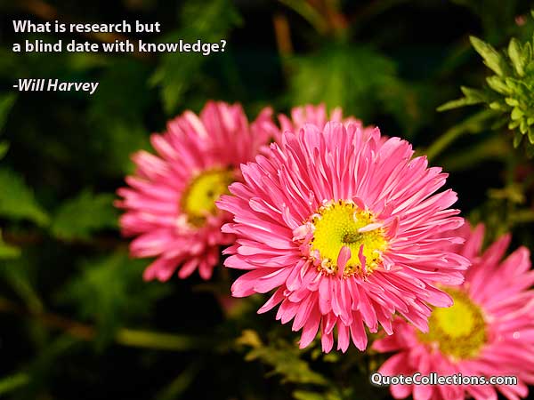 Will Harvey Quotes1